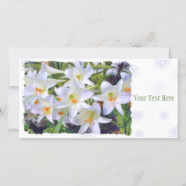 イースターリリー [ユリ] 案内状