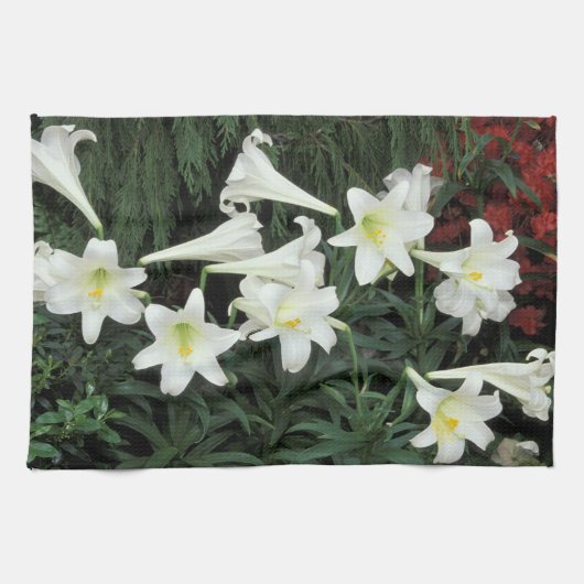イースターリリー (ユリ Lilium regale) キッチンタオル (横)