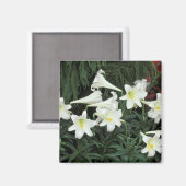 イースターリリー (ユリ Lilium regale) マグネット (正面/裏面)