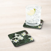 イースターリリー（リリウムリガレ） コースター (右側)