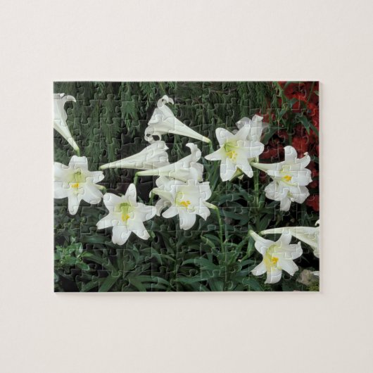 イースターリリー (Lilium regale) ジグソーパズル (横)
