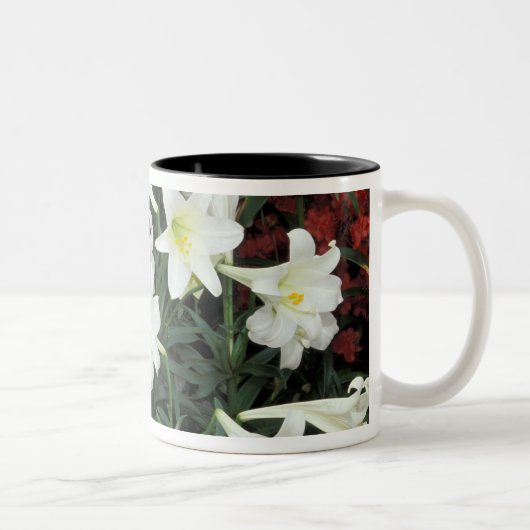 イースターリリー (Lilium regale) ツートーンマグカップ (右)