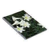 イースターリリー (Lilium regale) ノートブック (右側)