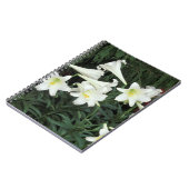 イースターリリー (Lilium regale) ノートブック (左側)