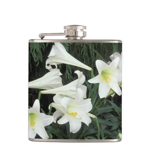 イースターリリー (Lilium regale) フラスク (正面)