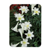 イースターリリー (Lilium regale) マグネット (縦)