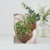 イースター卵はがきグリーンガーデンクレスト シーズンポストカード (スタンド正面)