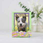 イースター卵クッキー – オーストラリアの牛の犬 シーズンポストカード (スタンド正面)