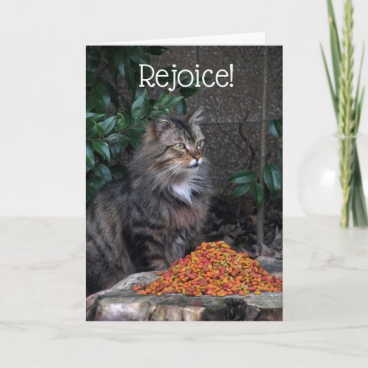 イースター奇跡カードを持つ猫 シーズンカード (正面)