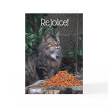 イースター奇跡カードを持つ猫