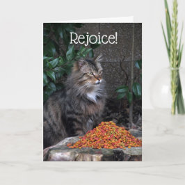 イースター奇跡カードを持つ猫 シーズンカード