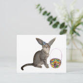 イースター子ネコの郵便はがき シーズンポストカード (スタンド正面)