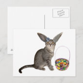 イースター子ネコの郵便はがき シーズンポストカード (正面/裏面)