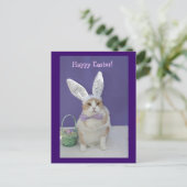 イースター子猫 シーズンポストカード (スタンド正面)