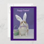 イースター子猫 シーズンポストカード (正面/裏面)