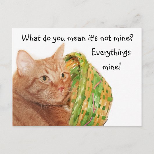 イースター子猫 シーズンポストカード (正面)