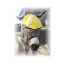 "イースター実在バニー"ホリデーカード シーズンカード