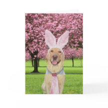 イースター実験室