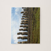 イースター島のパズル ジグソーパズル (縦)