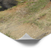 イースター島のモアイ ポスター (角)