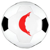 イースター島の旗 サッカーボール (回転)