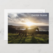 イースター島の馬の旅行写真 ポストカード (正面/裏面)