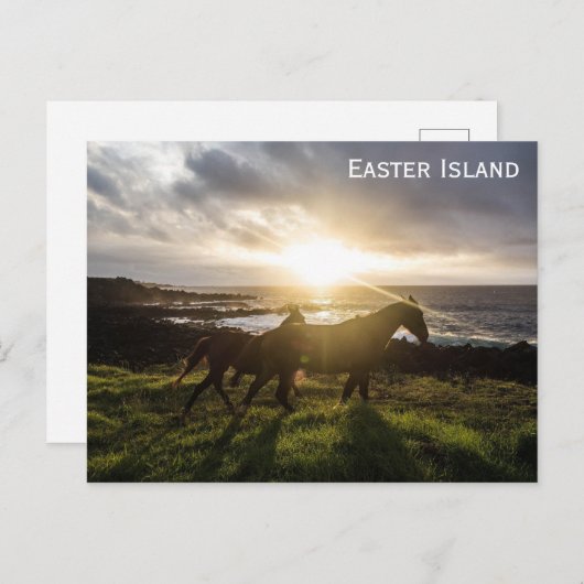 イースター島の馬の旅行写真 ポストカード (正面/裏面)