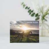 イースター島の馬の旅行写真 ポストカード (スタンド正面)