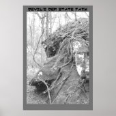 イースター島頭 ポスター (正面)