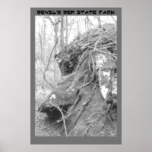 イースター島頭 ポスター (正面)