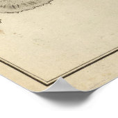 イースター島 ポスター (角)