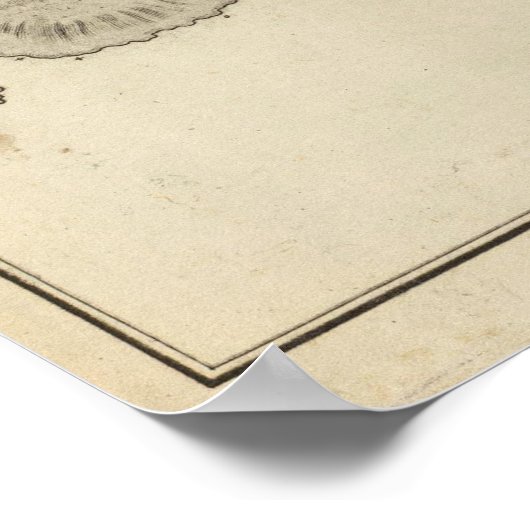 イースター島 ポスター (角)