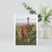 イースター島(Rapa Nui)で牧草を食べている馬。 シーズンポストカード (スタンド正面)