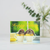 イースター応援 シーズンポストカード (スタンド正面)