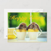 イースター応援 シーズンポストカード (正面/裏面)