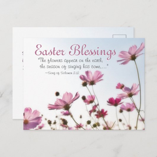 イースター恵みバイブル聖句「花が現れる」 シーズンポストカード (正面/裏面)