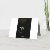 イースター恵み平和愛の信仰 箔グリーティングカード (裏面)