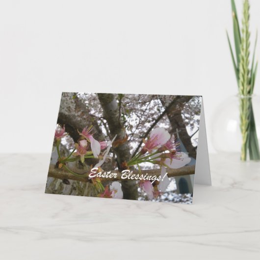 イースター恵み シーズンカード (正面)