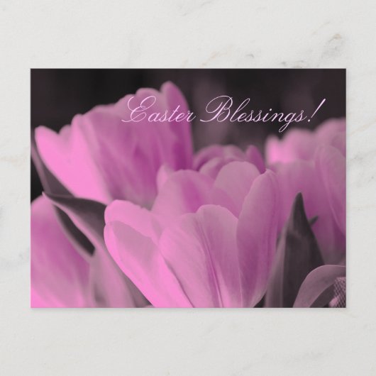 イースター恵み シーズンポストカード (正面)