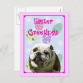 イースター挨拶のブルドッグの郵便はがき シーズンポストカード (正面/裏面)