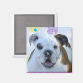 イースター挨拶ブルドッグ磁石 マグネット (正面/裏面)