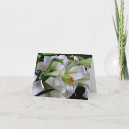 イースター挨拶状#1 00678900 シーズンカード