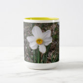 イースター春開花 ツートーンマグカップ (中央)