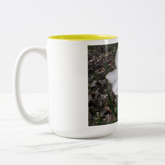 イースター春開花 ツートーンマグカップ (左)