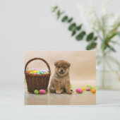 イースター柴犬 シーズンポストカード (スタンド正面)