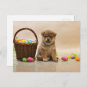 イースター柴犬 シーズンポストカード (正面/裏面)
