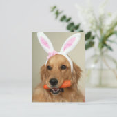 イースター間抜けバニーの耳を持つゴールデンレトリバー犬 シーズンポストカード (スタンド正面)