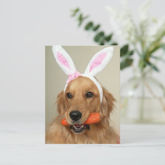 イースター間抜けバニーの耳を持つゴールデンレトリバー犬 シーズンポストカード (スタンド正面)
