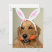 イースター間抜けバニーの耳を持つゴールデンレトリバー犬 シーズンポストカード (正面/裏面)