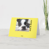 イースター驚き- Lola B.ボストンカード シーズンカード (裏面)